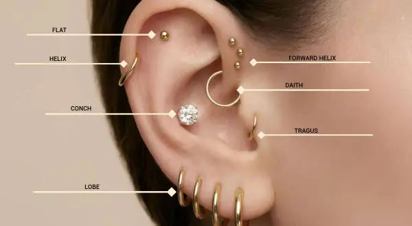 Ucho z kilkoma złotymi kolczykami, w tym kolczyk w uchu flat, helix, daith, tragus i lobe.