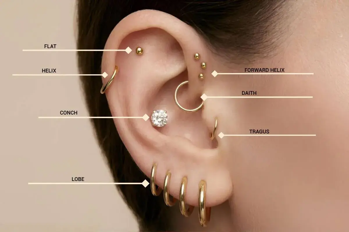 Ucho z kilkoma złotymi kolczykami, w tym kolczyk w uchu flat, helix, daith, tragus i lobe.
