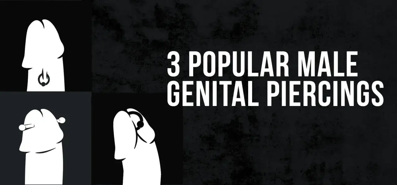 Ilustracje przedstawiające piercing penisa: pierścień, sztangę i kółko. 3 popularne męskie przekłucia.